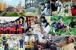 Nghị quyết 01/NQ-CP: Những giải pháp chủ yếu phát triển KT-XH năm 2015